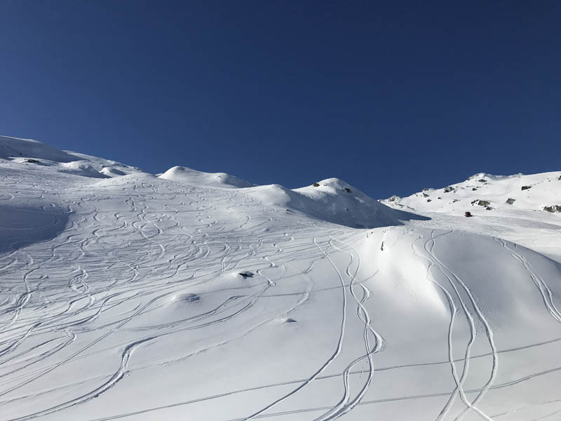 Soho Basin powder lines