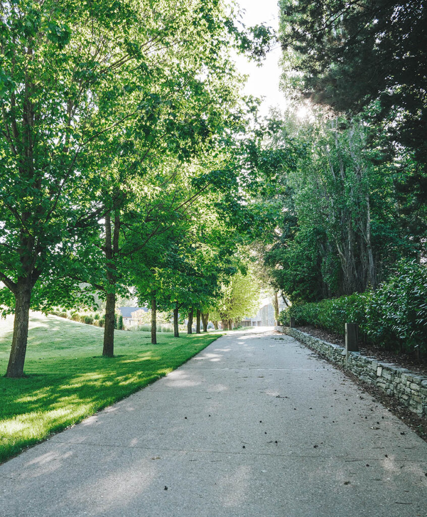 Tree-lined driveway at Millbrook Mountain Garden with maintained lawn, mature woodland planting and a low stone wall.