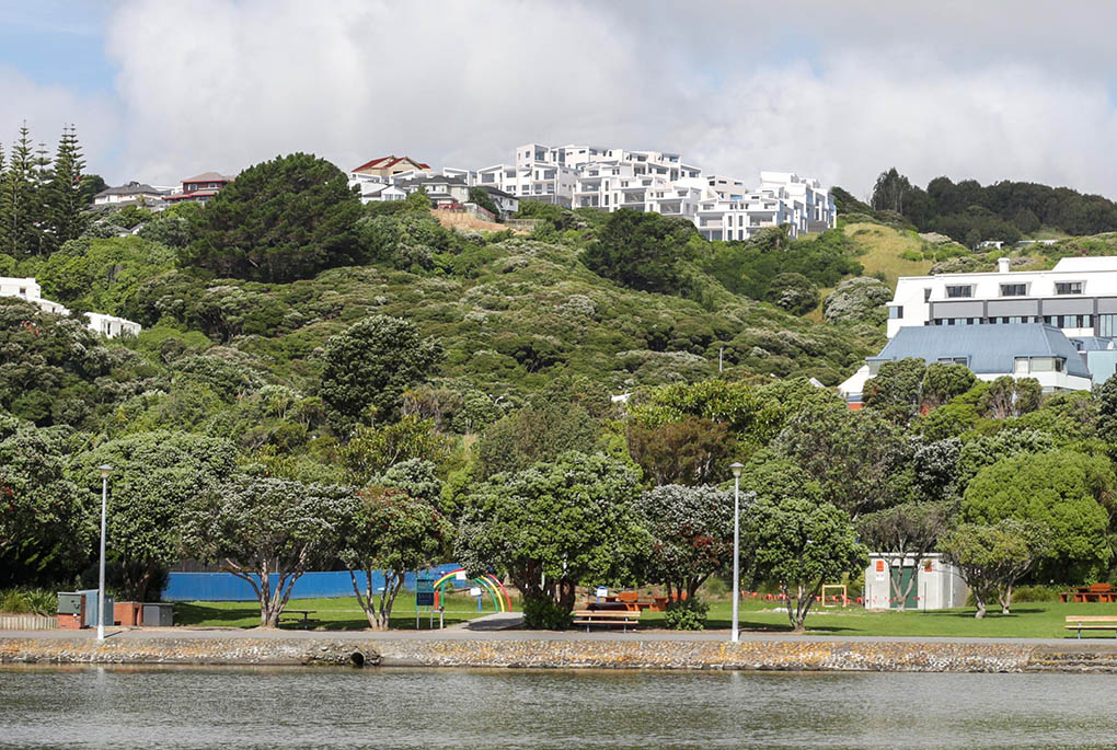 Photomontage showing the proposed Porirua Hilltop development viewed across the harbour-edge reserve.
